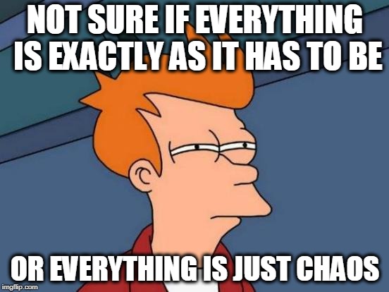 Futurama Fry Meme | NOT SURE IF EVERYTHING IS EXACTLY AS IT HAS TO BE; OR EVERYTHING IS JUST CHAOS | image tagged in memes,futurama fry | made w/ Imgflip meme maker