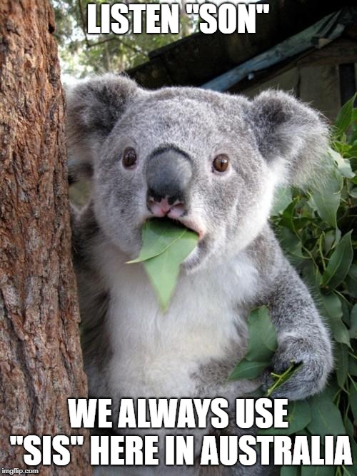 Surprised Koala Meme | LISTEN "SON" WE ALWAYS USE "SIS" HERE IN AUSTRALIA | image tagged in memes,surprised koala | made w/ Imgflip meme maker