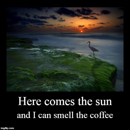 image tagged in funny,demotivationals | made w/ Imgflip demotivational maker