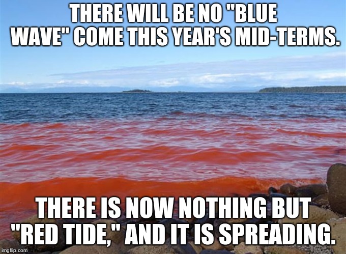 Red Tide Spreads | THERE WILL BE NO "BLUE WAVE" COME THIS YEAR'S MID-TERMS. THERE IS NOW NOTHING BUT "RED TIDE," AND IT IS SPREADING. | image tagged in red tide,gop,republican,trump,blue wave | made w/ Imgflip meme maker