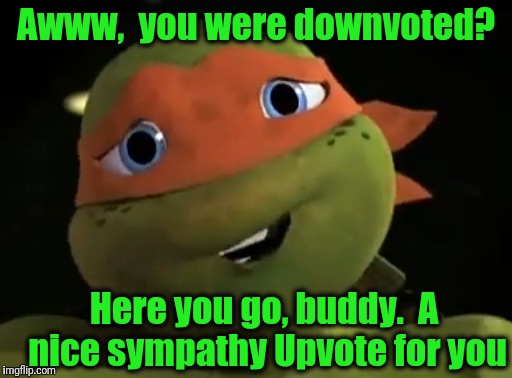 Awww,  you were downvoted? Here you go, buddy.  A nice sympathy Upvote for you | made w/ Imgflip meme maker