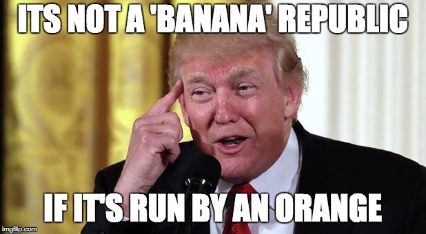 orange republican | ITS NOT A 'BANANA' REPUBLIC; IF IT'S RUN BY AN ORANGE | image tagged in trump stable genius,memes,orange republic,trump,banana republic | made w/ Imgflip meme maker