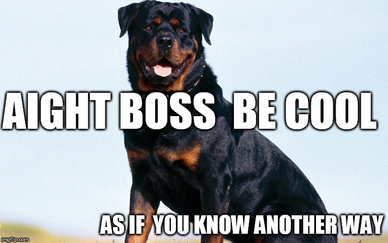 ok boss be cool chief! | AIGHT BOSS  BE COOL; AS IF  YOU KNOW ANOTHER WAY | image tagged in boss be,cool,as,if,you,another way | made w/ Imgflip meme maker