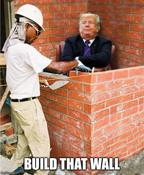 BUILD THAT WALL | image tagged in wall | made w/ Imgflip meme maker