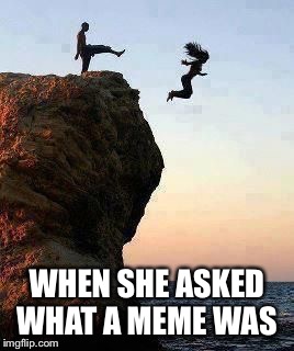 Kicking off Cliff | WHEN SHE ASKED WHAT A MEME WAS | image tagged in kicking off cliff | made w/ Imgflip meme maker