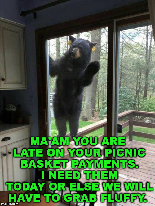 When yogi started working for the bear mafia and looking for the picnic basket "protection" payment. | MA'AM YOU ARE LATE ON YOUR PICNIC BASKET PAYMENTS. I NEED THEM TODAY OR ELSE WE WILL HAVE TO GRAB FLUFFY. | image tagged in memes,bear,threat,yogi bear,funny meme | made w/ Imgflip meme maker