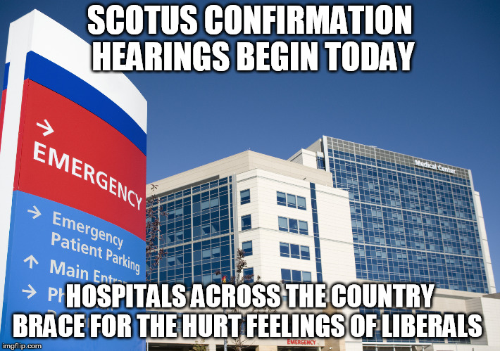 hospital | SCOTUS CONFIRMATION HEARINGS BEGIN TODAY; HOSPITALS ACROSS THE COUNTRY BRACE FOR THE HURT FEELINGS OF LIBERALS | image tagged in hospital,crying democrats,liberal logic,retarded liberal protesters,triggered liberal | made w/ Imgflip meme maker