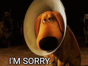 I'M SORRY. | image tagged in sorry | made w/ Imgflip meme maker