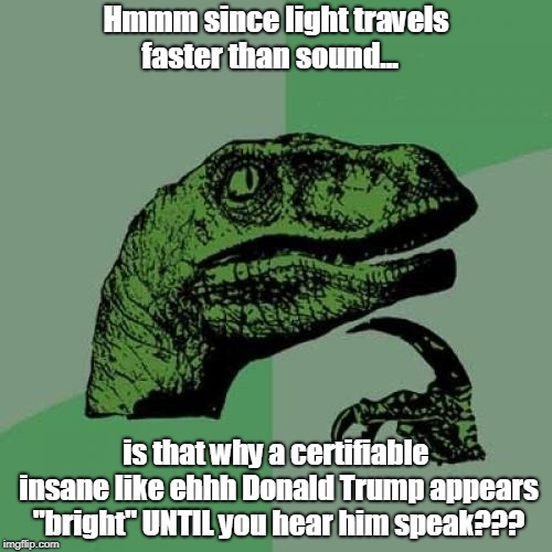Philosoraptor | Hmmm since light travels faster than sound... is that why a certifiable insane like ehhh Donald Trump appears "bright" UNTIL you hear him speak??? | image tagged in memes,philosoraptor | made w/ Imgflip meme maker