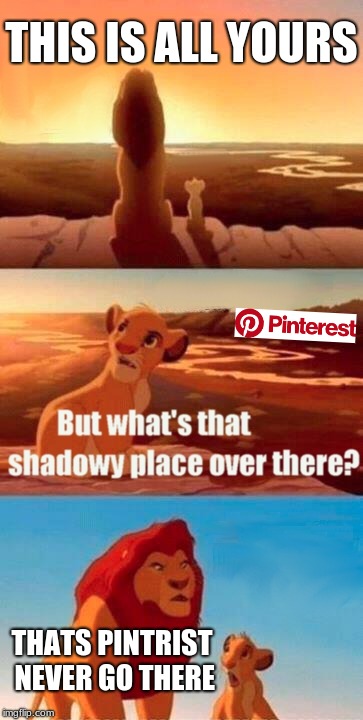 Simba Shadowy Place | THIS IS ALL YOURS; THATS PINTRIST NEVER GO THERE | image tagged in memes,simba shadowy place | made w/ Imgflip meme maker