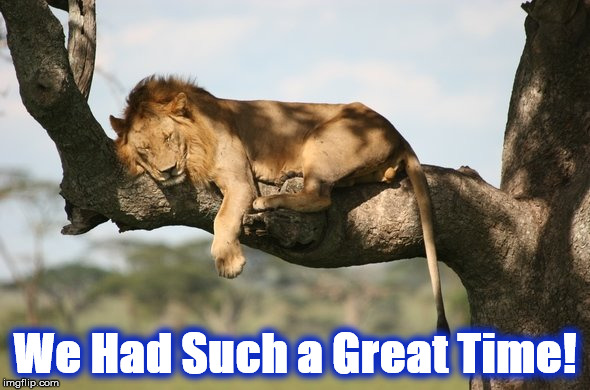 We Had Such a Great Time! | image tagged in l1 | made w/ Imgflip meme maker