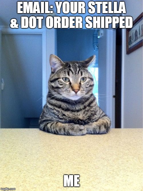 Take A Seat Cat Meme | EMAIL: YOUR STELLA & DOT ORDER SHIPPED; ME | image tagged in memes,take a seat cat | made w/ Imgflip meme maker