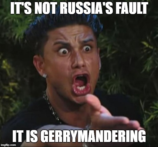 DJ Pauly D | IT'S NOT RUSSIA'S FAULT; IT IS GERRYMANDERING | image tagged in memes,dj pauly d | made w/ Imgflip meme maker