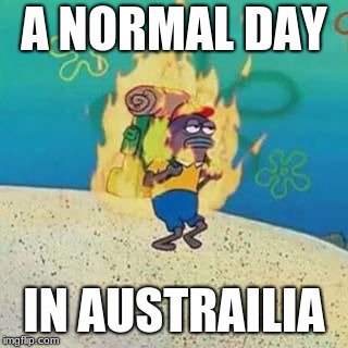 spongebob on fire | A NORMAL DAY; IN AUSTRAILIA | image tagged in spongebob on fire | made w/ Imgflip meme maker