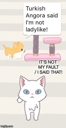 Not Ladylike | IT'S NOT MY FAULT / I SAID THAT! | image tagged in chihuahua,angora,ladylike,fight,fault | made w/ Imgflip meme maker