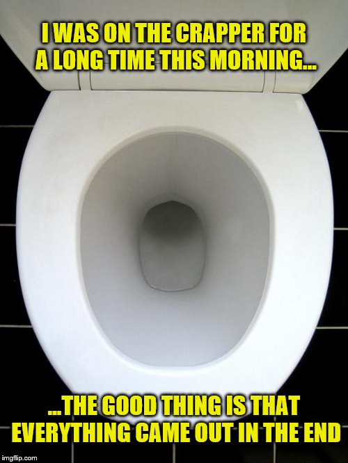 TOILET | I WAS ON THE CRAPPER FOR A LONG TIME THIS MORNING... ...THE GOOD THING IS THAT EVERYTHING CAME OUT IN THE END | image tagged in toilet | made w/ Imgflip meme maker