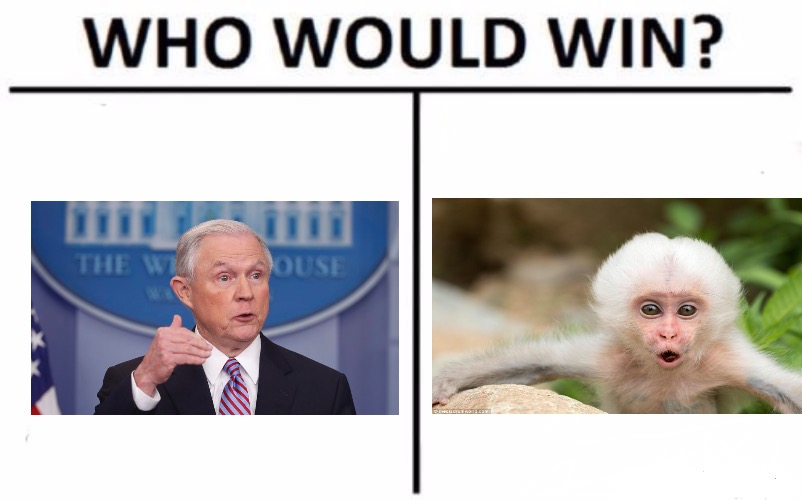 Who Would Win? Meme | image tagged in memes,who would win | made w/ Imgflip meme maker