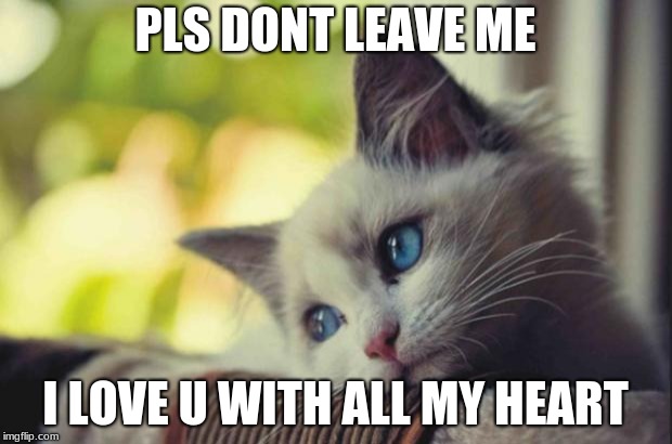Sad cat | PLS DONT LEAVE ME; I LOVE U WITH ALL MY HEART | image tagged in sad cat | made w/ Imgflip meme maker