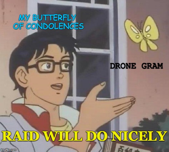 Is This A Pigeon | MY BUTTERFLY OF CONDOLENCES; DRONE GRAM; RAID WILL DO NICELY | image tagged in memes,is this a pigeon | made w/ Imgflip meme maker