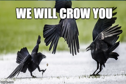 WE WILL CROW YOU | made w/ Imgflip meme maker