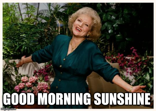 GOOD MORNING SUNSHINE | image tagged in good morning golden girls #rose #morning meme | made w/ Imgflip meme maker
