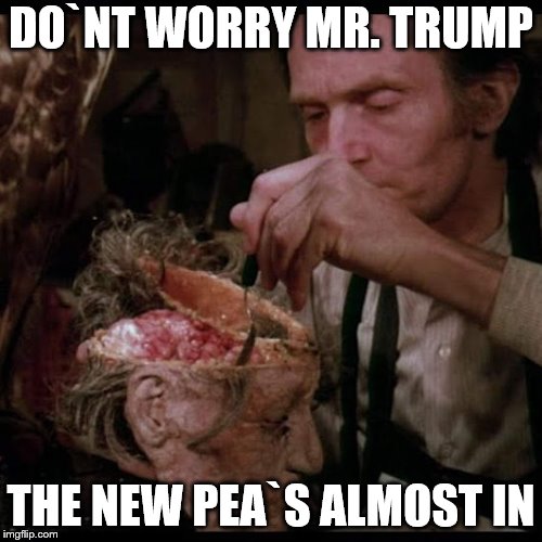 TRUMP WORLD | DO`NT WORRY MR. TRUMP; THE NEW PEA`S ALMOST IN | image tagged in brainwashed | made w/ Imgflip meme maker