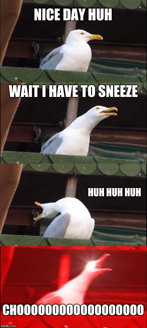 Inhaling Seagull | NICE DAY HUH; WAIT I HAVE TO SNEEZE; HUH HUH HUH; CHOOOOOOOOOOOOOOOOOO | image tagged in memes,inhaling seagull | made w/ Imgflip meme maker