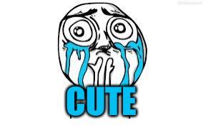 Crying Because Of Cute Meme | CUTE | image tagged in memes,crying because of cute | made w/ Imgflip meme maker