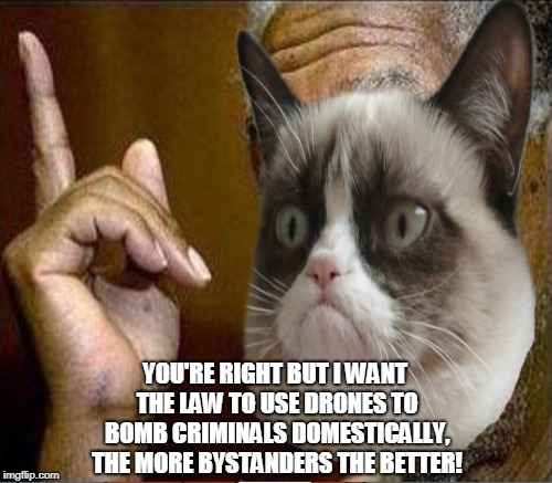 YOU'RE RIGHT BUT I WANT THE LAW TO USE DRONES TO BOMB CRIMINALS DOMESTICALLY, THE MORE BYSTANDERS THE BETTER! | made w/ Imgflip meme maker