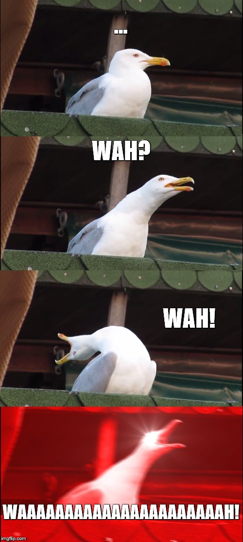 squawking vital sensations (a very angry waluigi seagull) | …; WAH? WAH! WAAAAAAAAAAAAAAAAAAAAAAH! | image tagged in memes,inhaling seagull,nintendo | made w/ Imgflip meme maker