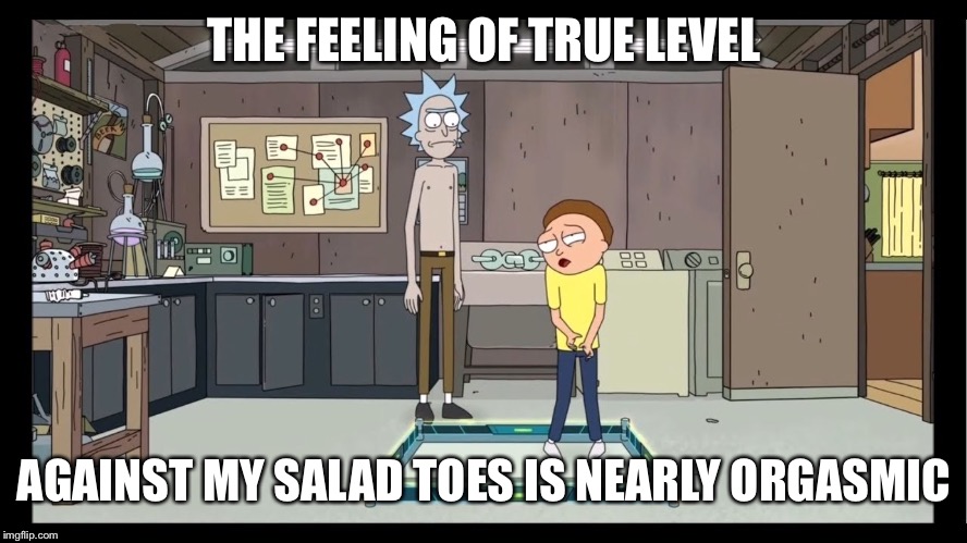 True level morty | THE FEELING OF TRUE LEVEL; AGAINST MY SALAD TOES IS NEARLY ORGASMIC | image tagged in true level morty | made w/ Imgflip meme maker