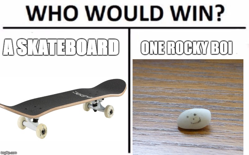 Who Would Win? | A SKATEBOARD; ONE ROCKY BOI | image tagged in memes,who would win | made w/ Imgflip meme maker