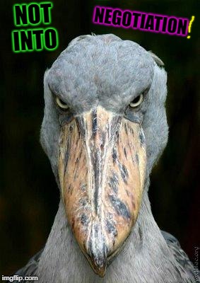 Scary bird | NOT INTO; NEGOTIATION | image tagged in scary bird | made w/ Imgflip meme maker