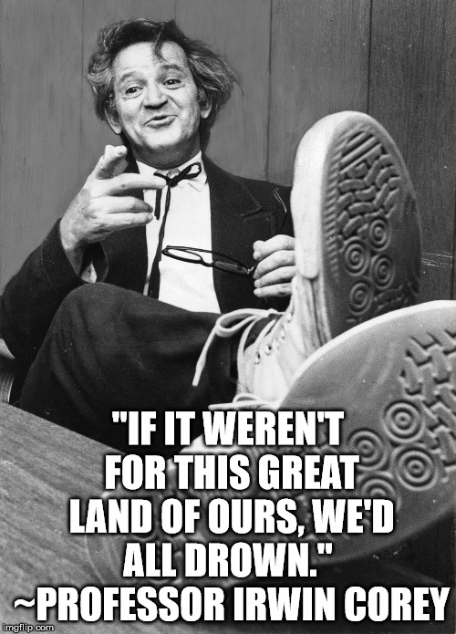 "IF IT WEREN'T FOR THIS GREAT LAND OF OURS, WE'D ALL DROWN."
 ~PROFESSOR IRWIN COREY | image tagged in professor irwin corey | made w/ Imgflip meme maker