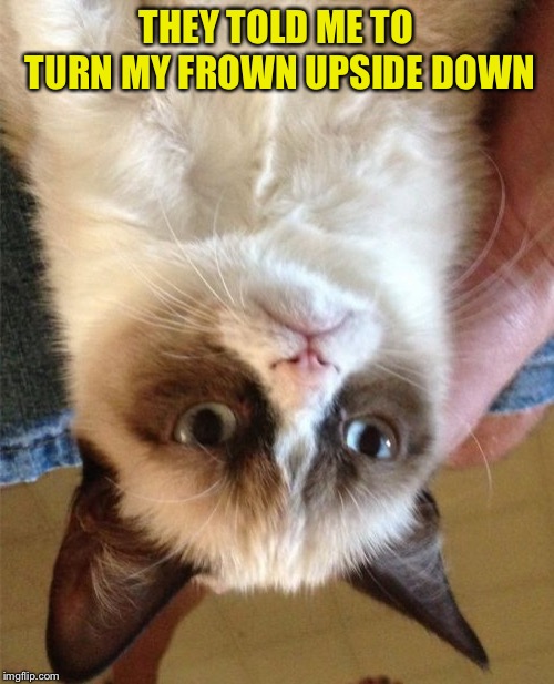 Grumpy Cat | THEY TOLD ME TO TURN MY FROWN UPSIDE DOWN | image tagged in memes,grumpy cat | made w/ Imgflip meme maker