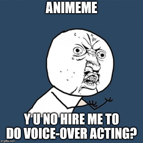 Y U No Meme | ANIMEME; Y U NO HIRE ME TO DO VOICE-OVER ACTING? | image tagged in memes,y u no | made w/ Imgflip meme maker