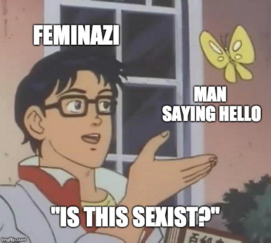 Is This A Pigeon Meme |  FEMINAZI; MAN SAYING HELLO; "IS THIS SEXIST?" | image tagged in memes,is this a pigeon | made w/ Imgflip meme maker