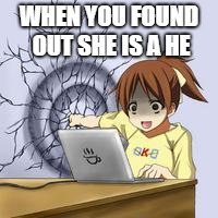 Anime wall punch | WHEN YOU FOUND OUT SHE IS A HE | image tagged in anime wall punch | made w/ Imgflip meme maker