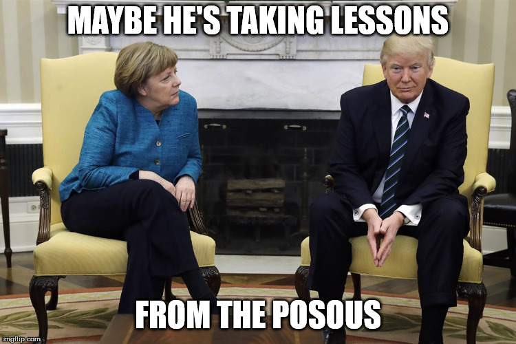 angela merkel and trump | MAYBE HE'S TAKING LESSONS FROM THE POSOUS | image tagged in angela merkel and trump | made w/ Imgflip meme maker