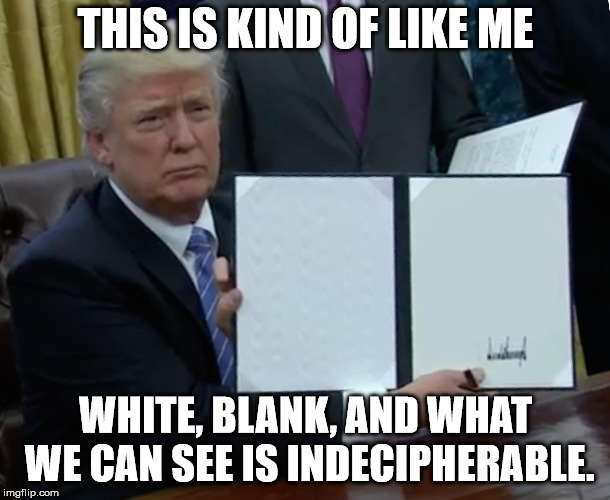 President Trump Signing Jobs Bill | THIS IS KIND OF LIKE ME WHITE, BLANK, AND WHAT WE CAN SEE IS INDECIPHERABLE. | image tagged in president trump signing jobs bill | made w/ Imgflip meme maker