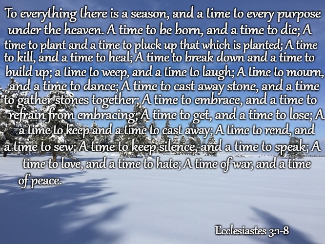 Ecclesiastes 3:1-8 To Everything There Is A Season And A Time To Every Purpose Under The Sun | To everything there is a season, and a time to every purpose; under the heaven. A time to be born, and a time to die; A; time to plant and a time to pluck up that which is planted; A time; to kill, and a time to heal; A time to break down and a time to; build up; a time to weep, and a time to laugh; A time to mourn, and a time to dance; A time to cast away stone, and a time; to gather stones together; A time to embrace, and a time to; refrain from embracing; A time to get, and a time to lose; A; a time to keep and a time to cast away; A time to rend, and; a time to sew; A time to keep silence, and a time to speak; A; time to love, and a time to hate; A time of war, and a time; of peace. Ecclesiastes 3:1-8 | image tagged in bible,holy bible,faith,holy spirit,bible verse,god | made w/ Imgflip meme maker