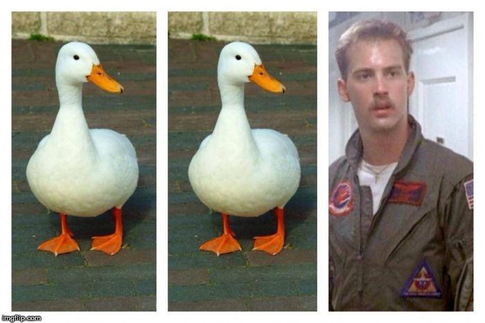 Hit people on the head and then run away :) | . | image tagged in duck duck goose,memes,top gun,roll safe think about it | made w/ Imgflip meme maker