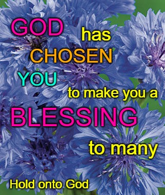 Words to Live By God Has Chosen You To Make You A Blessing To Many | GOD; has; CHOSEN; YOU; to make you a; BLESSING; to many; Hold onto God | image tagged in bible,faith,holy bible,holy spirit,bible verse,god | made w/ Imgflip meme maker