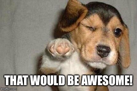 Awesome Dog | THAT WOULD BE AWESOME! | image tagged in awesome dog | made w/ Imgflip meme maker
