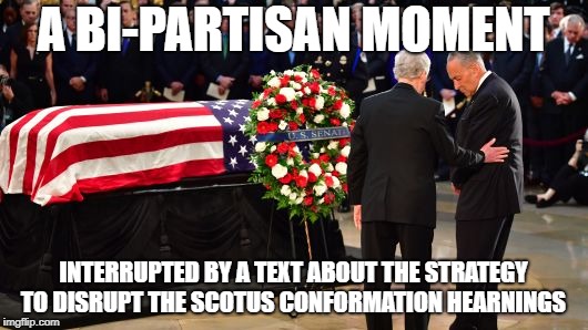 Sneaky Democrats | A BI-PARTISAN MOMENT; INTERRUPTED BY A TEXT ABOUT THE STRATEGY TO DISRUPT THE SCOTUS CONFORMATION HEARNINGS | image tagged in democrats,democratic party,john mccain | made w/ Imgflip meme maker