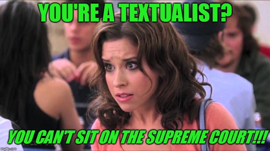 Democrats Grill Supreme Court Nominee Brett Kavanaugh  | YOU'RE A TEXTUALIST? YOU CAN'T SIT ON THE SUPREME COURT!!! | image tagged in scotus,brett kavanaugh,us senate | made w/ Imgflip meme maker