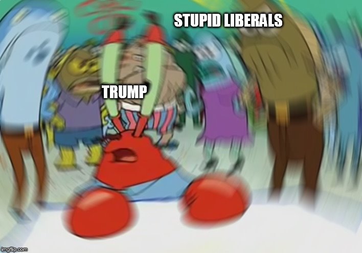 Mr Krabs Blur Meme Meme | STUPID LIBERALS; TRUMP | image tagged in memes,mr krabs blur meme | made w/ Imgflip meme maker