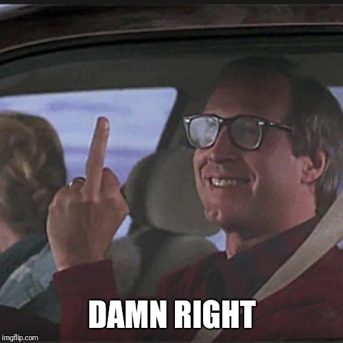 Clark Griswold  | DAMN RIGHT | image tagged in clark griswold | made w/ Imgflip meme maker