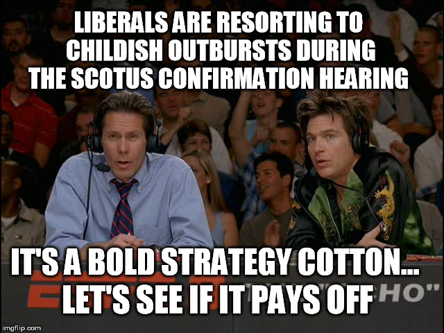 LIBERALS ARE RESORTING TO CHILDISH OUTBURSTS DURING THE SCOTUS CONFIRMATION HEARING; IT'S A BOLD STRATEGY COTTON... LET'S SEE IF IT PAYS OFF | image tagged in scotus,triggered liberal,crying democrats | made w/ Imgflip meme maker