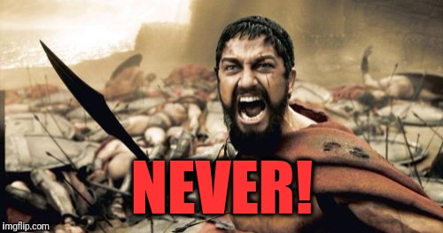 Sparta Leonidas Meme | NEVER! | image tagged in memes,sparta leonidas | made w/ Imgflip meme maker